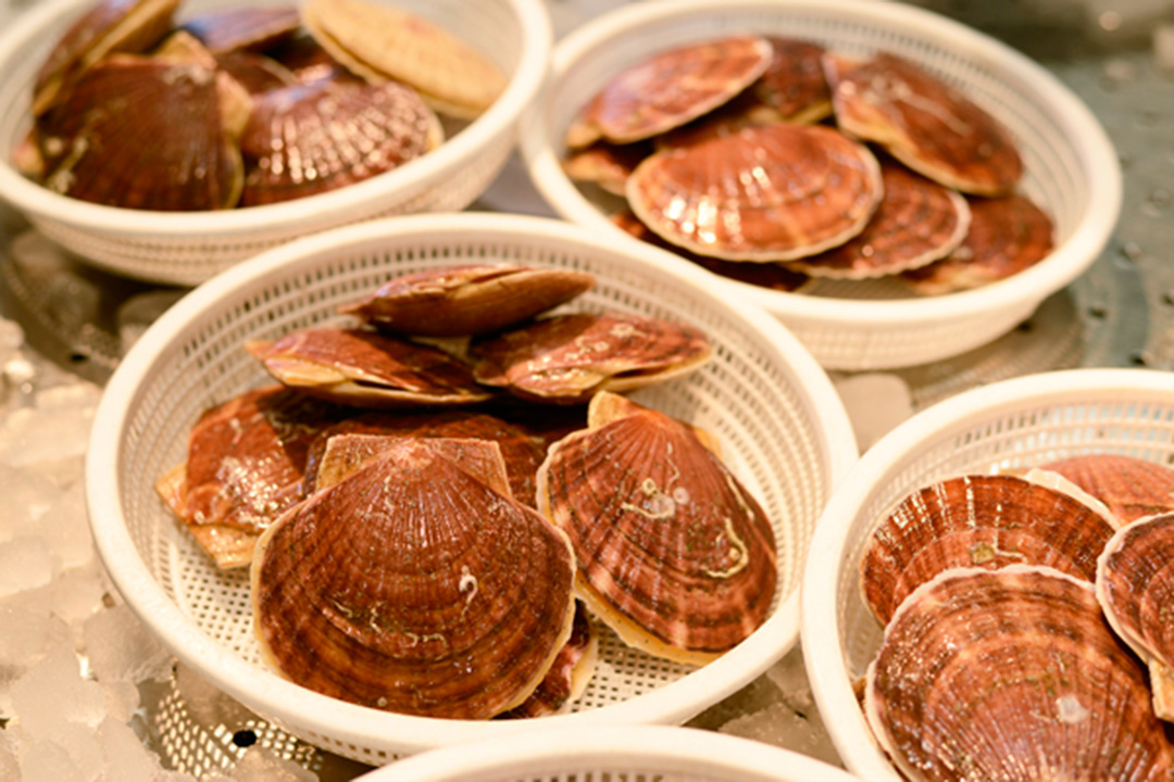 平内ホタテについて